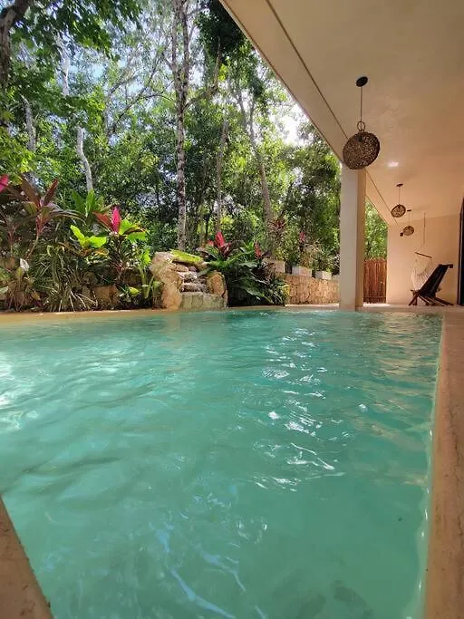 Little Oasis With Private Pool In The Jungle Apartman Chemuyil Mexikó