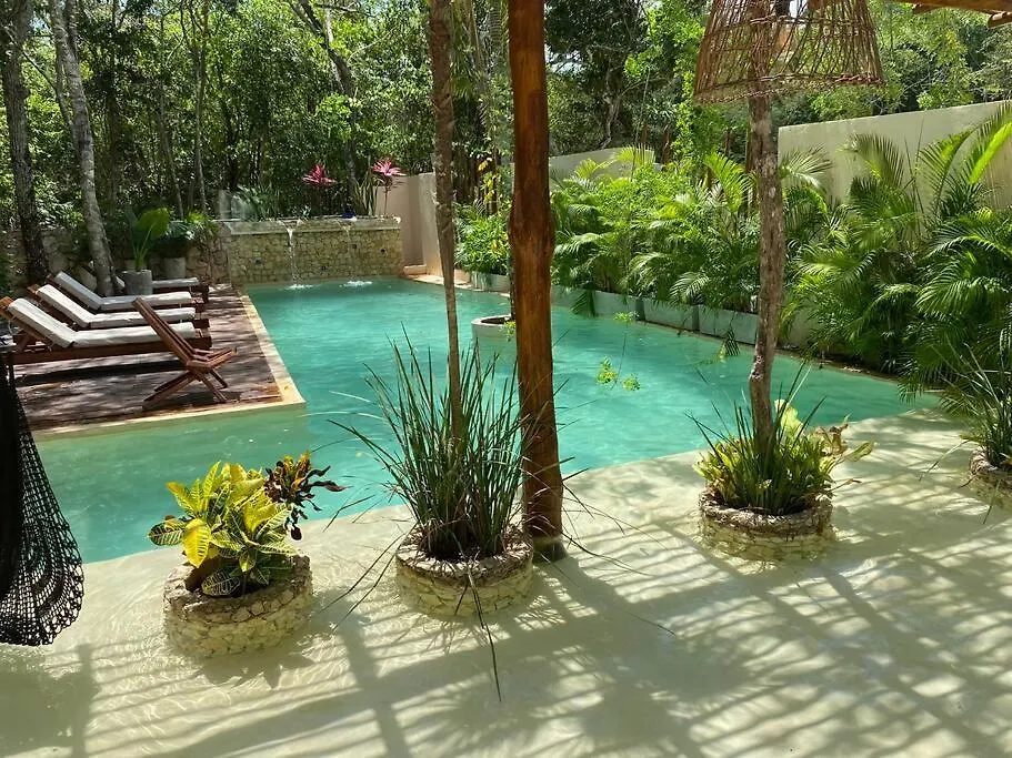 Little Oasis With Private Pool In The Jungle Apartman Chemuyil