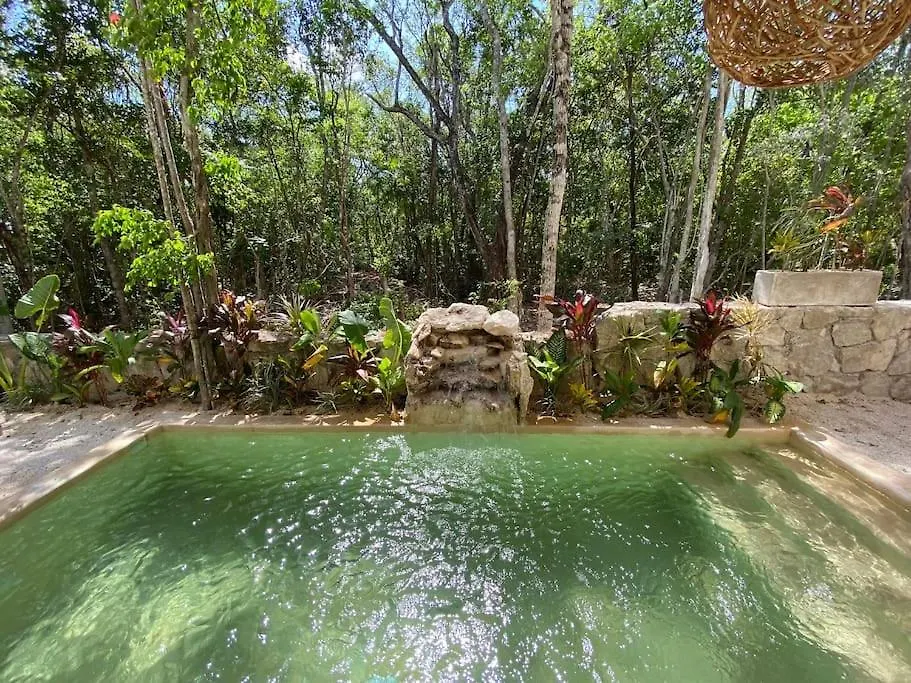 Little Oasis With Private Pool In The Jungle location