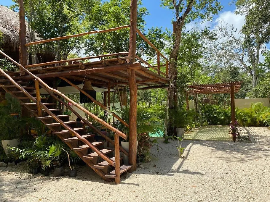 Appartement Little Oasis With Private Pool In The Jungle à Chemuyil 0*,